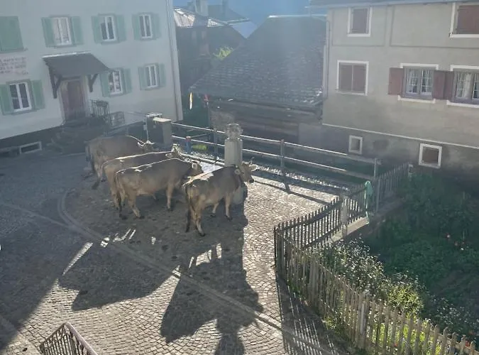 Beverin Bed & Breakfast *